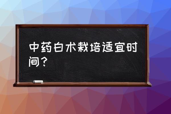 白术种植的正确方法 中药白术栽培适宜时间？