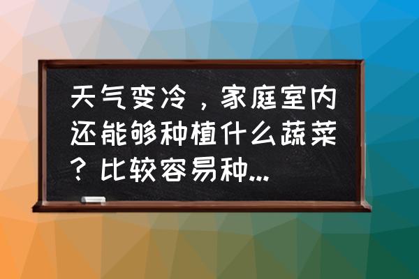 冬天蔬菜汤的100种做法 天气变冷，家庭室内还能够种植什么蔬菜？比较容易种植的蔬菜有哪些？