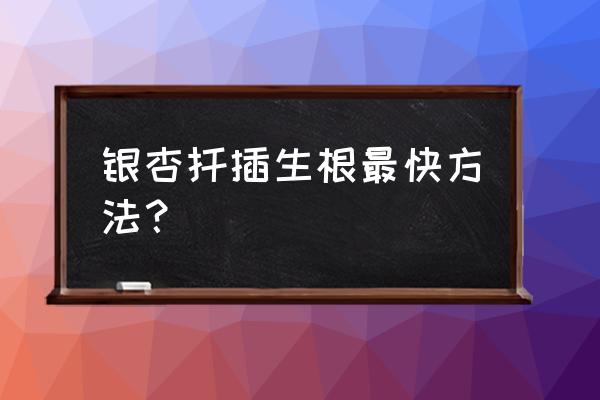 扦插树苗生根最快方法 银杏扦插生根最快方法？