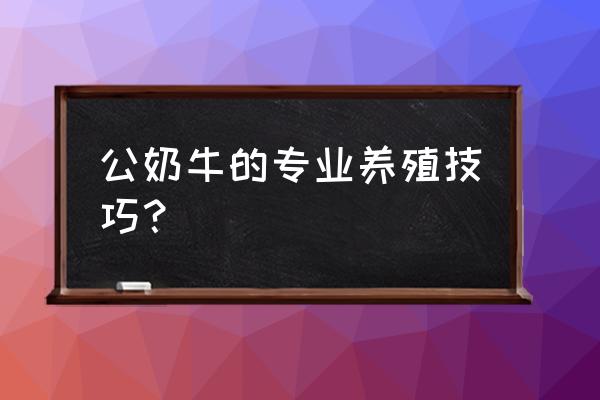 奶牛的养殖技术和方法 公奶牛的专业养殖技巧？