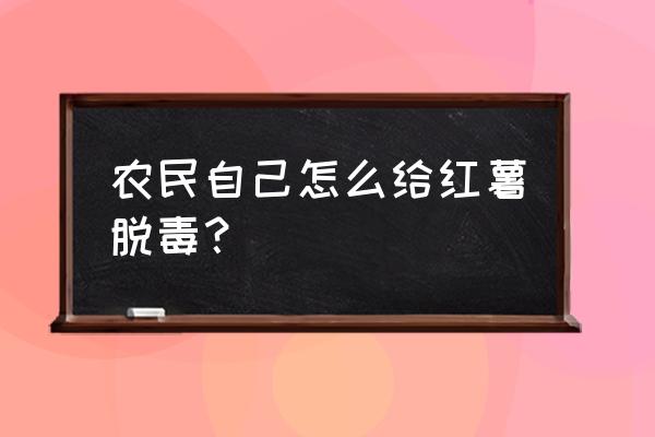 农民自己怎么给红薯脱毒 农民自己怎么给红薯脱毒？