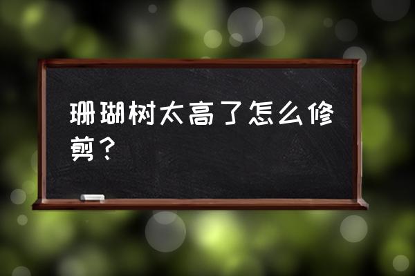 珊瑚樱怎么修剪 珊瑚树太高了怎么修剪？