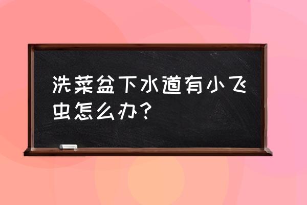 洗菜池往上爬细虫子怎么回事 洗菜盆下水道有小飞虫怎么办？