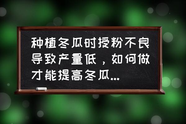 冬瓜种植高产的小妙招 种植冬瓜时授粉不良导致产量低，如何做才能提高冬瓜授粉率？