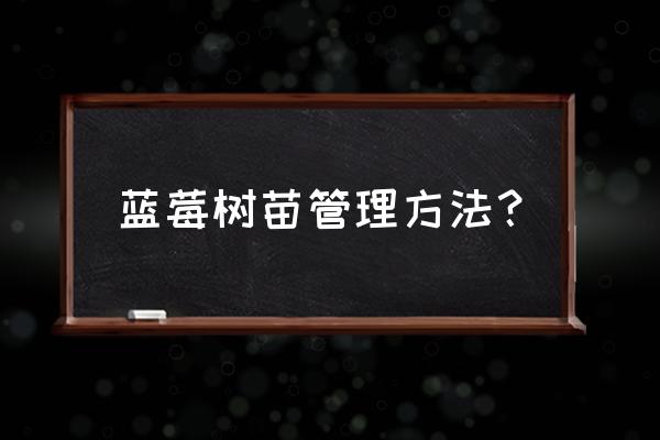 在家养蓝莓的正确方法 蓝莓树苗管理方法？