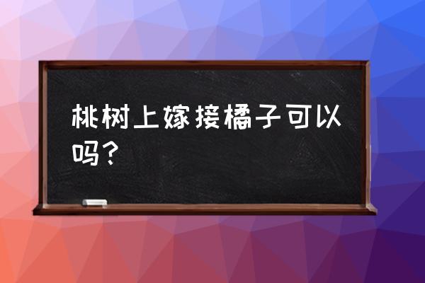 桃子树现在如何嫁接最好 桃树上嫁接橘子可以吗？