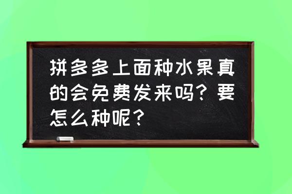 什么水果适合小孩种 拼多多上面种水果真的会免费发来吗？要怎么种呢？