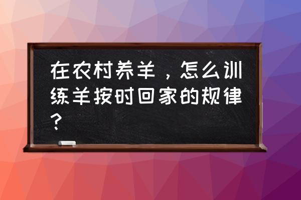 羊群回圈游戏 在农村养羊,怎么训练羊按时回家的规律? 羊群回圈游戏 在农村养羊,怎么训练羊按时回家的规律?