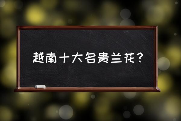 莲瓣兰价格一览表 越南十大名贵兰花？