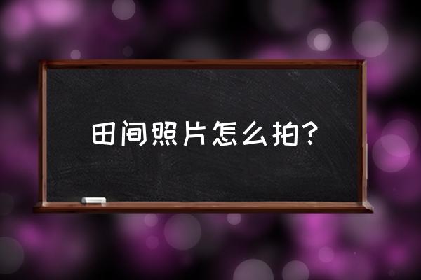 田间气象在线监测系统 田间照片怎么拍? 田间气象在线监测系统 田间照片怎么拍?
