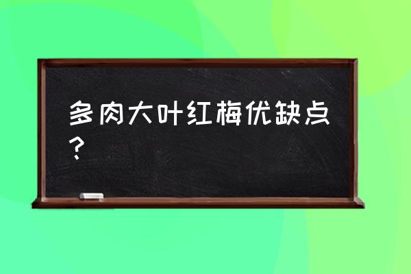 多肉群生太阳花锦好养吗 多肉大叶红梅优缺点？