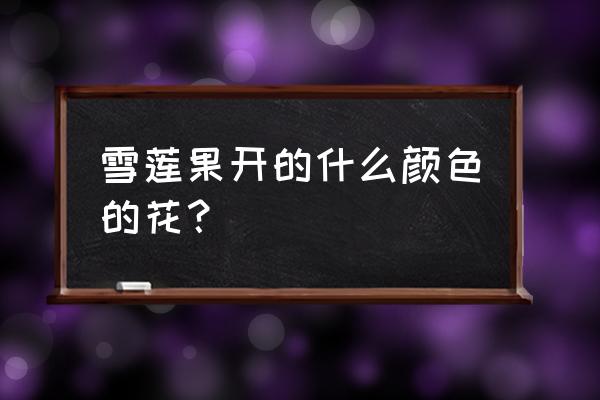 种雪莲果是不是种子种的 雪莲果开的什么颜色的花? 种雪莲果是不是种子种的 雪莲果开的什么颜色的花?