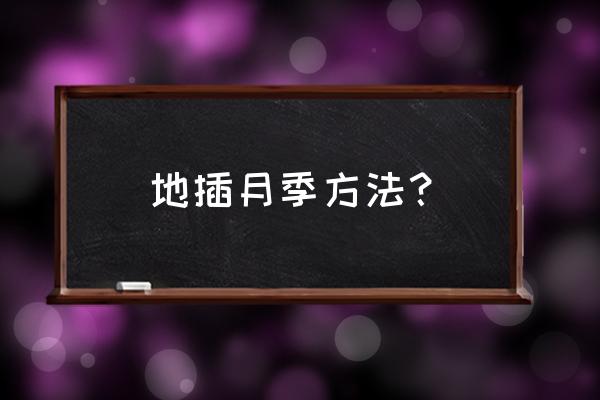 月季花步骤图 地插月季方法? 月季花步骤图 地插月季方法?