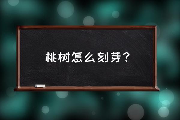 学做春天的桃手工简单又漂亮 桃树怎么刻芽? 学做春天的桃手工简单又漂亮 桃树怎么刻芽?