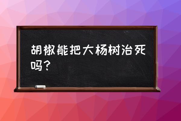消灭大杨树最好的方法 胡椒能把大杨树治死吗? 消灭大杨树最好的方法 胡椒能把大杨树治死吗?