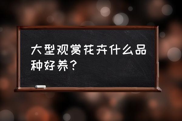 客厅好养的大型植物十大排行 大型观赏花卉什么品种好养? 客厅好养的大型植物十大排行 大型观赏花卉什么品种好养?
