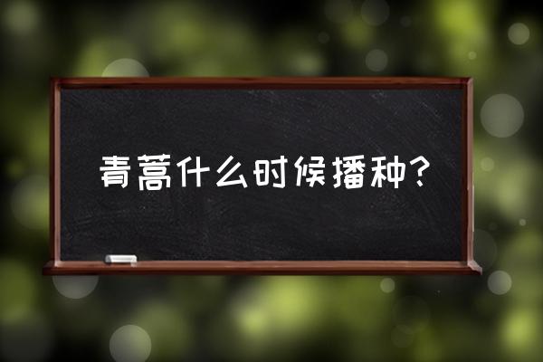种植青蒿的最佳方法 青蒿什么时候播种? 种植青蒿的最佳方法 青蒿什么时候播种?