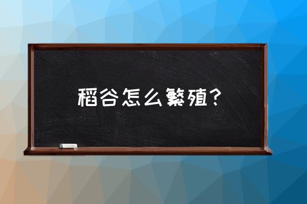 水稻人工杂交步骤 稻谷怎么繁殖？